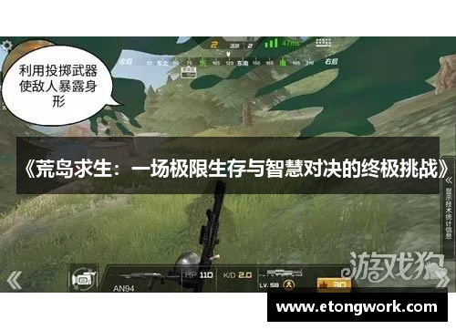 《荒岛求生：一场极限生存与智慧对决的终极挑战》