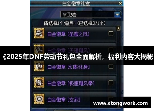 《2025年DNF劳动节礼包全面解析，福利内容大揭秘》